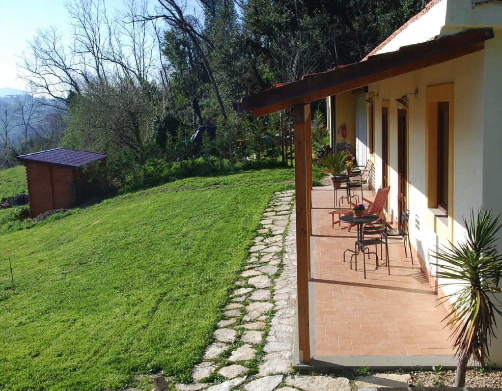 La Casa Nettarina Guest House Poggio Mirteto Exterior photo