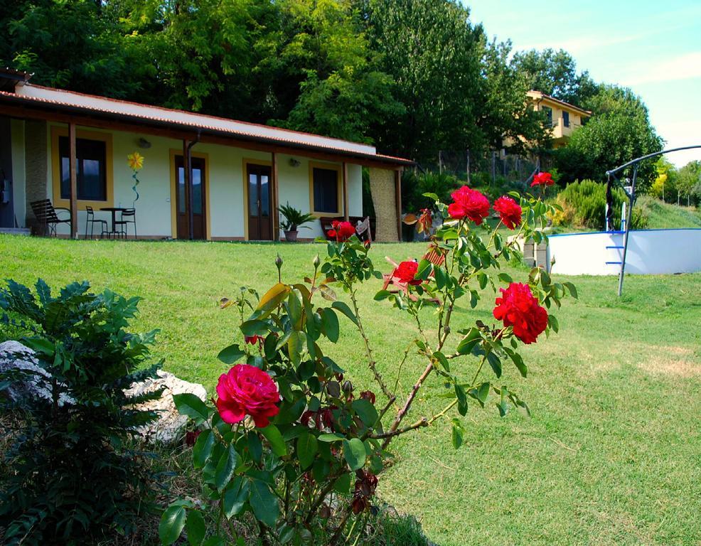 La Casa Nettarina Guest House Poggio Mirteto Exterior photo
